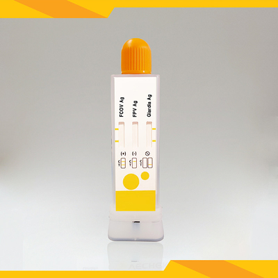 Kit di analisi dell'antigene fecale del gatto per il FCoV+FPV+Giardia Lamblia pulito e privo di inquinamento