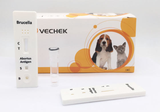 Prova bovina dell'antigene della brucella di 10 minuti con qualitativo e preliminare